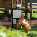 Kanaluukku kanataloihin - Chicken Guard